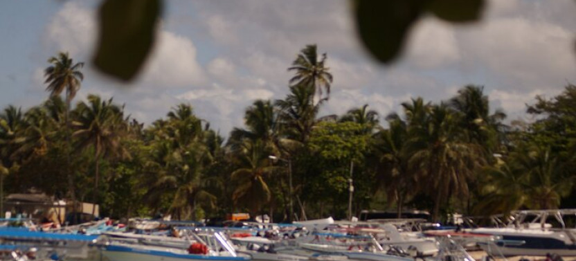 Private Saona Island Tour from Punta Cana with Lunch