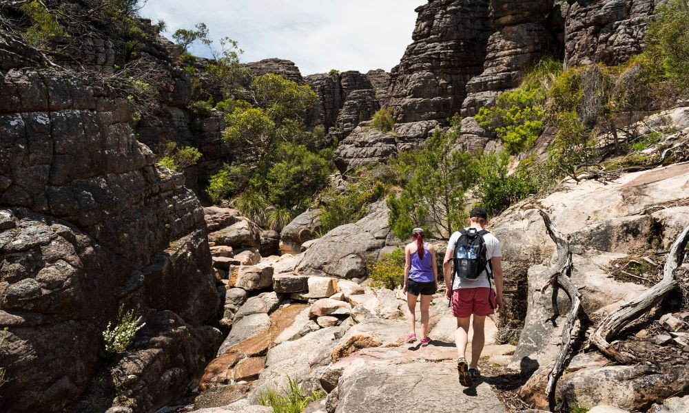 Grampians Full Day Tour