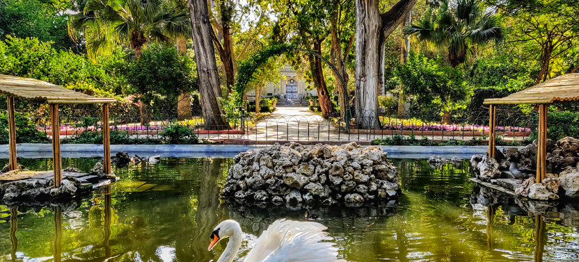 Mdina, Dingli Cliffs & San Anton Botanical Gardens (Half Day)