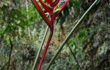 Biotopo del Quetzal