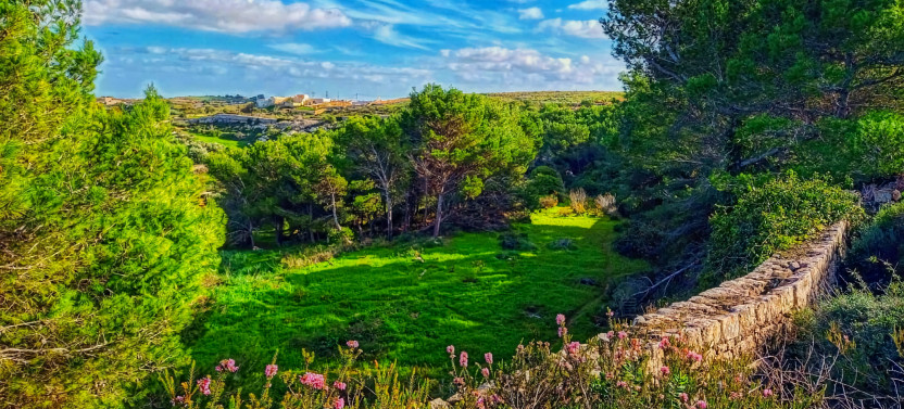 Chadwick Lakes, The Victoria Lines & Bingemma Valley Nature Walking Tour