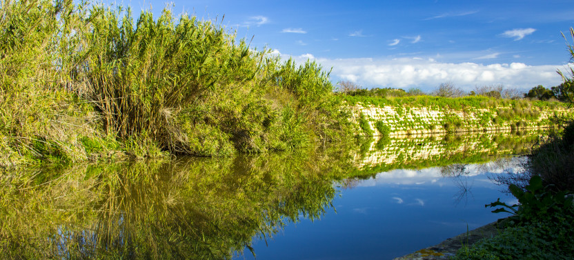 Chadwick Lakes, The Victoria Lines & Bingemma Valley Nature Walking Tour