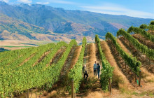 Appellation Wine Tours23