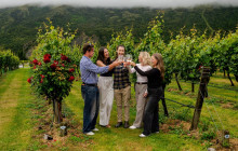 Appellation Wine Tours13