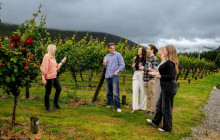 Appellation Wine Tours10