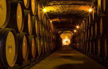 Appellation Wine Tours21