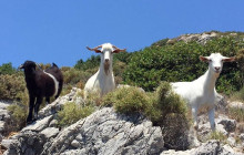 Tripventura7