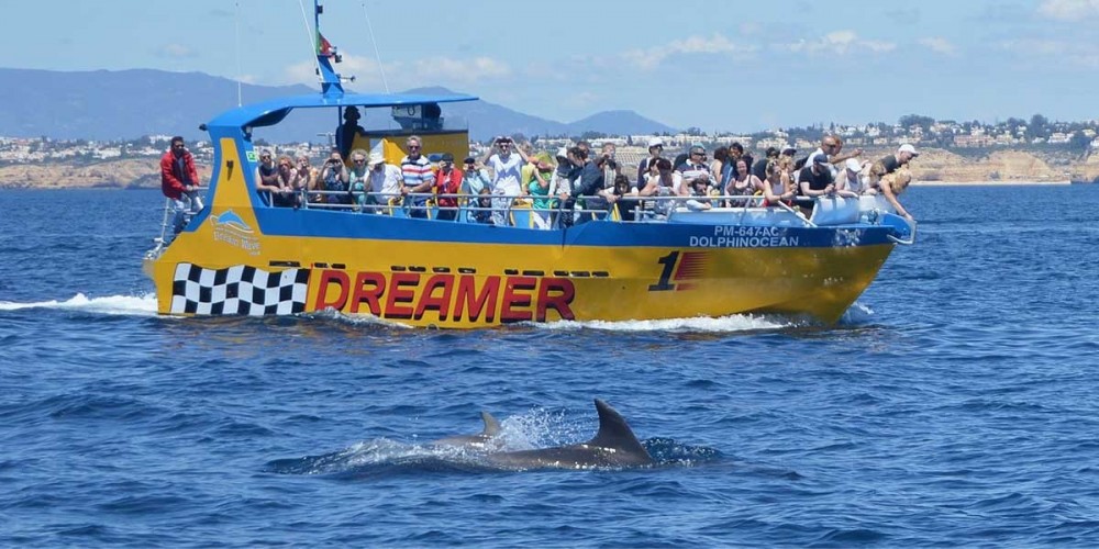 Caves And Dolphin Watching on Dreamer Jet Boat