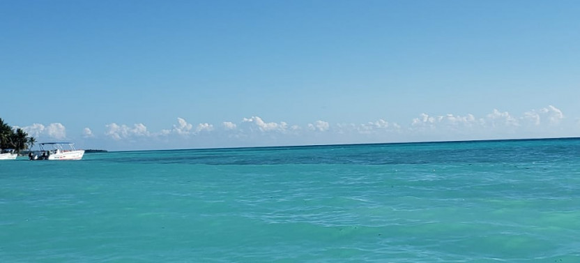 Private Saona Island Full Day Tour