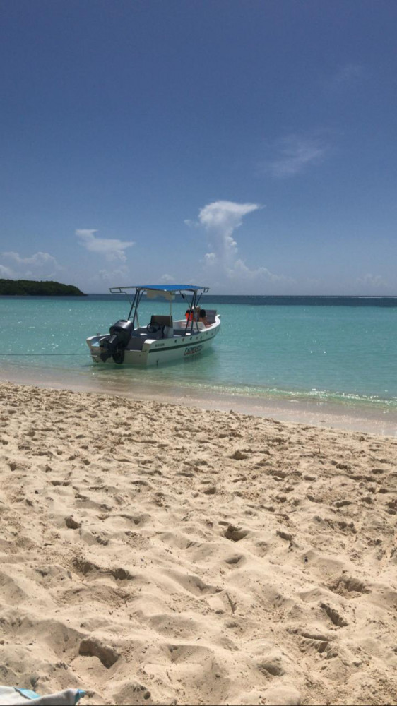 Private Saona Island Full Day Tour