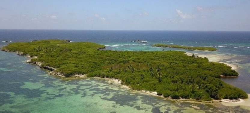 Turtle Sanctuary on Saona Island Full Day Tour