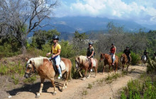 Tripventura7
