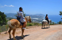 Tripventura8