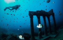 Tripventura1