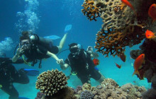 Tripventura6