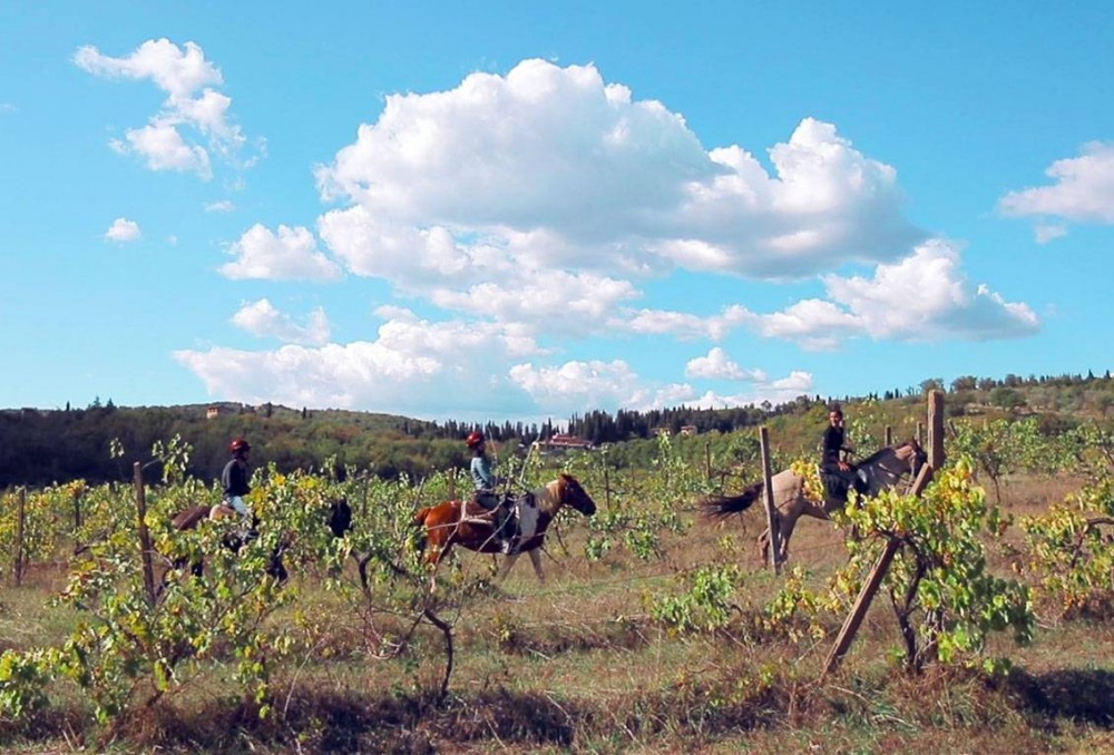 Private Horses And Vineyards - Horseback Riding In Tuscany