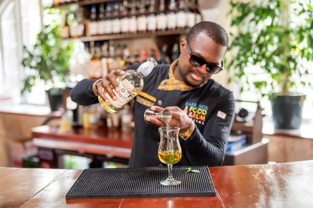 Private Mixology Class With A Local Expert in Saint Philip, Barbados