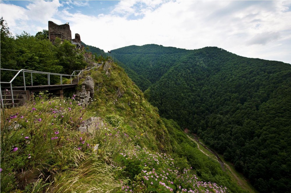 Poenari Castle