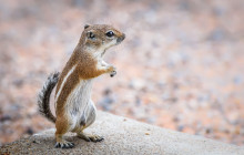 Action Tour Guide3