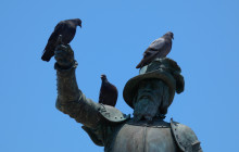 Action Tour Guide4