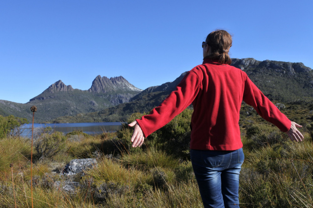 Crade Mountain with Tasmanian Devils: Burnie Shore excursion