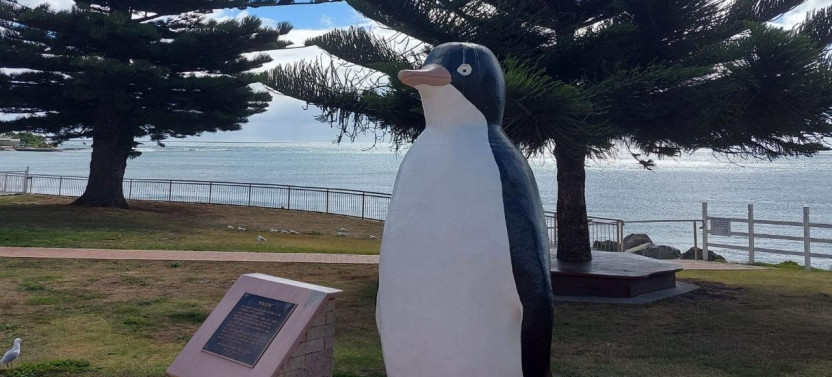 Discovering Tasmania: Burnie Shore excursion