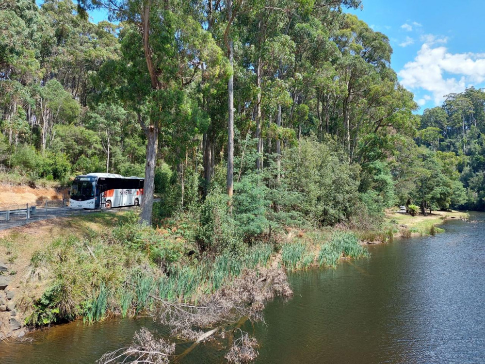 Burnie Attractions BUS: Burnie Shore excursion