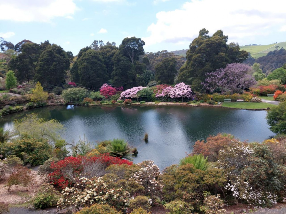 Emu Valley Rhododendron Gardens: Burnie Shore excursion