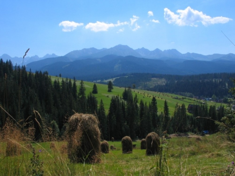 Carpathian Mountains