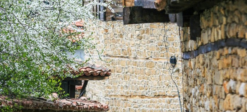 One Day Private Tour To Bulgaria