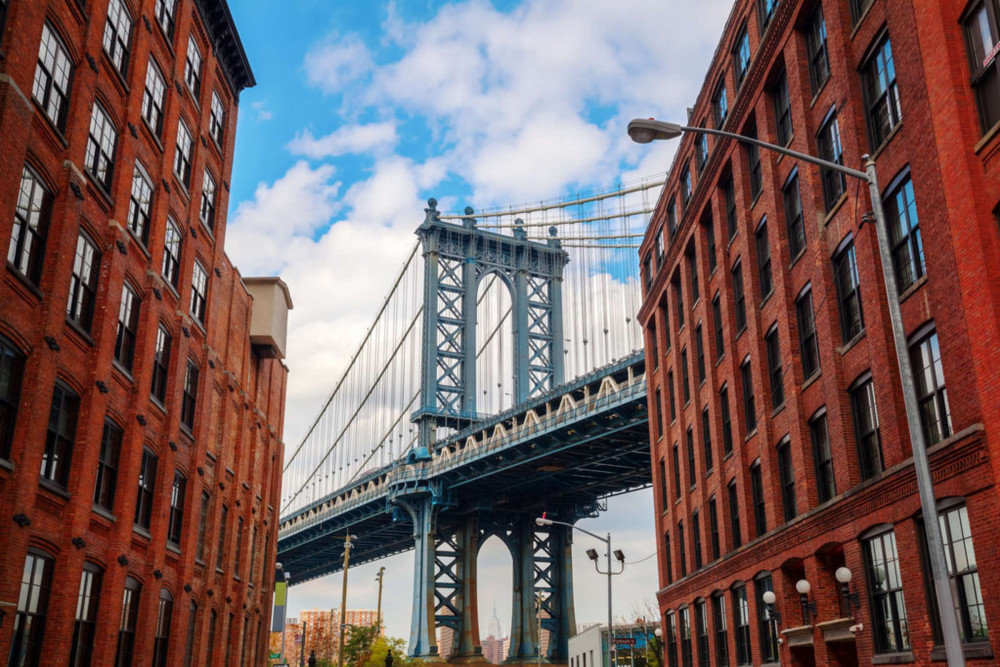 Expert-led Brooklyn Neighborhood Tour With Brooklyn Bridge And Dumbo