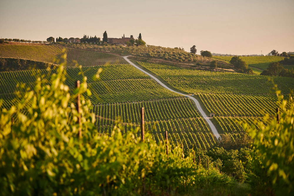 Expert-led Tuscany Day Trip From Florence With Wine Tasting