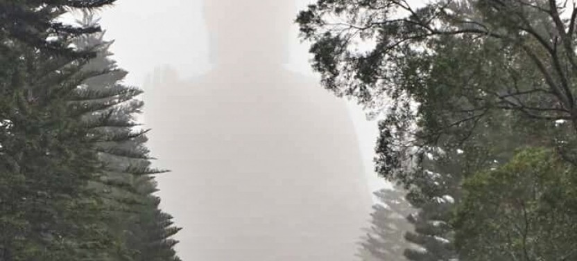 Private Lantau Island Tour