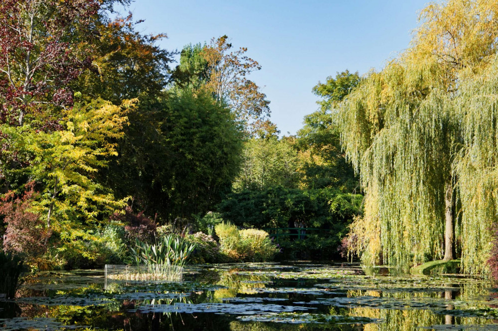 Expert-led Half-day Giverny Tour From Paris