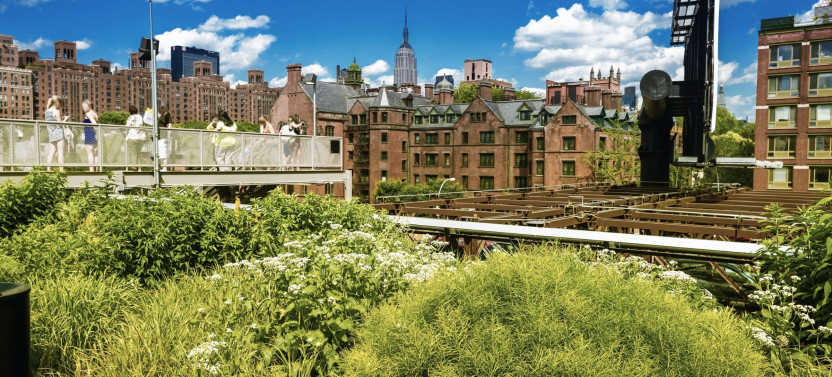 Expert-led New York High Line Tour