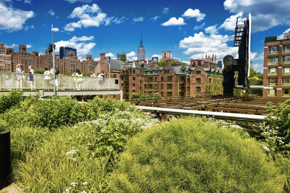 Expert-led New York High Line Tour