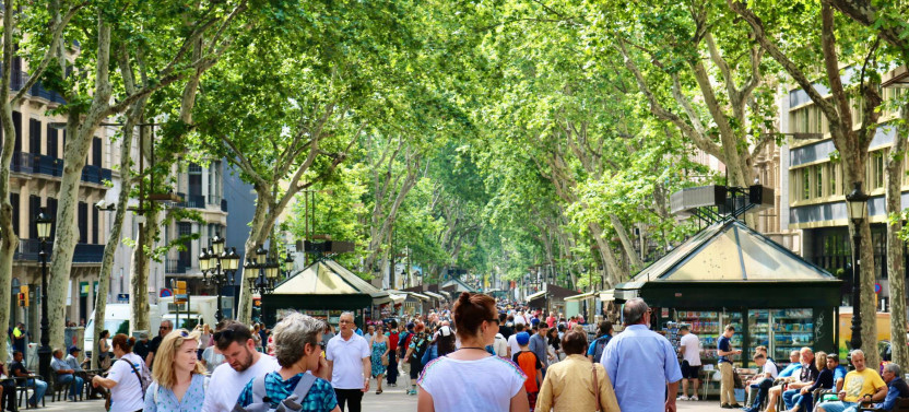 Private Expert-led Gothic Quarter Tour with Barcelona Cathedral