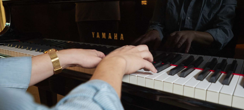 Expert-led Vienna Classical Music Tour