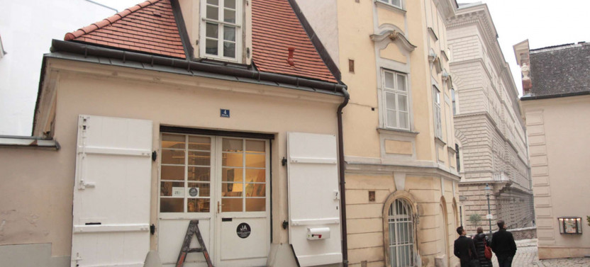 Expert-led Introduction To Vienna