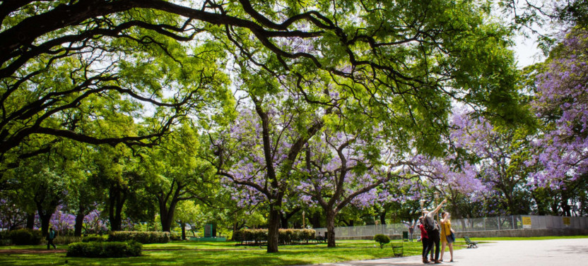 Expert-led Buenos Aires Politics Tour: Recoleta And Retiro