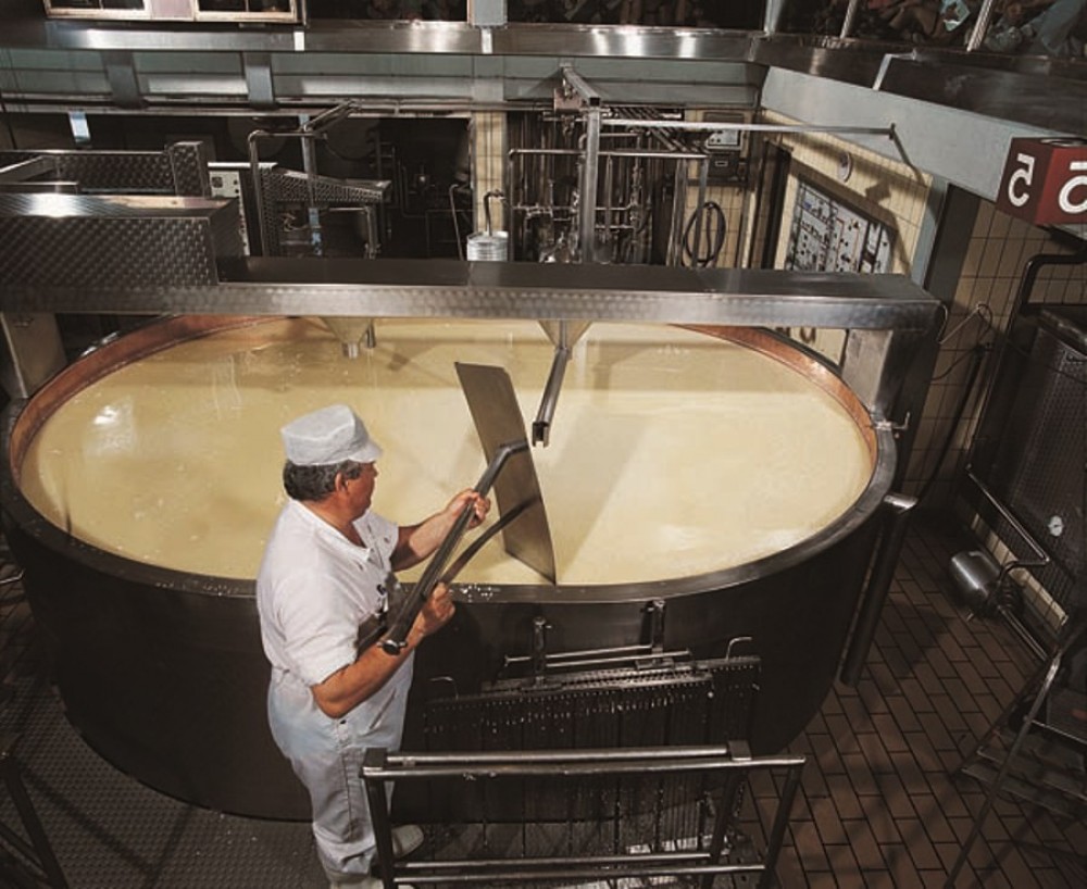 Gruyères Gold With Cheese + Chocolate Factory From Geneva Geneva Project Expedition