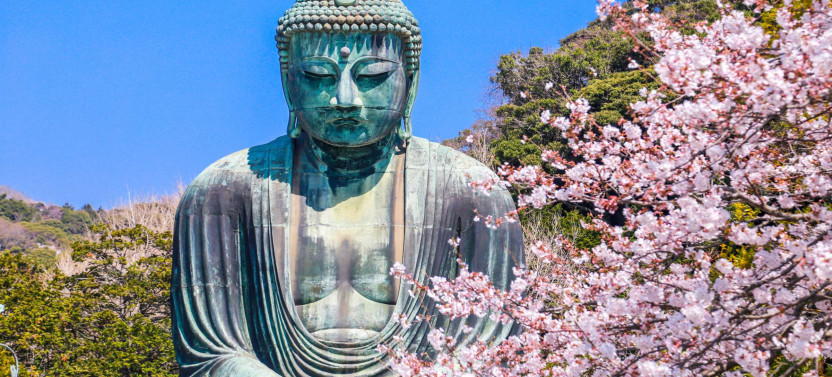 Expert-led Half-day Kamakura Tour
