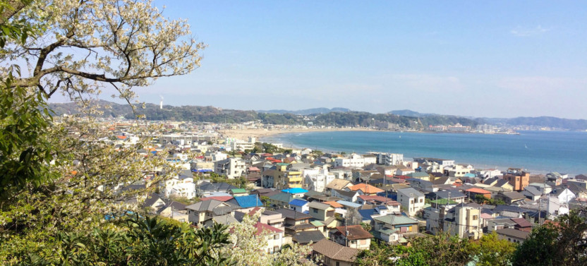 Expert-led Half-day Kamakura Tour