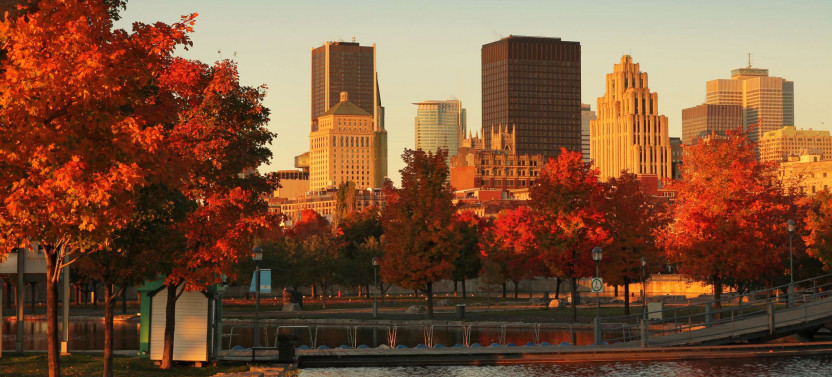 Expert-led Introduction To Montreal Tour
