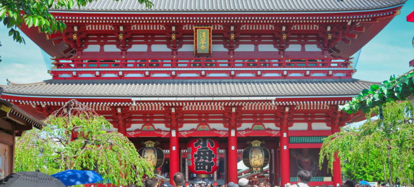 Private Expert-led Asakusa Edo History Tour