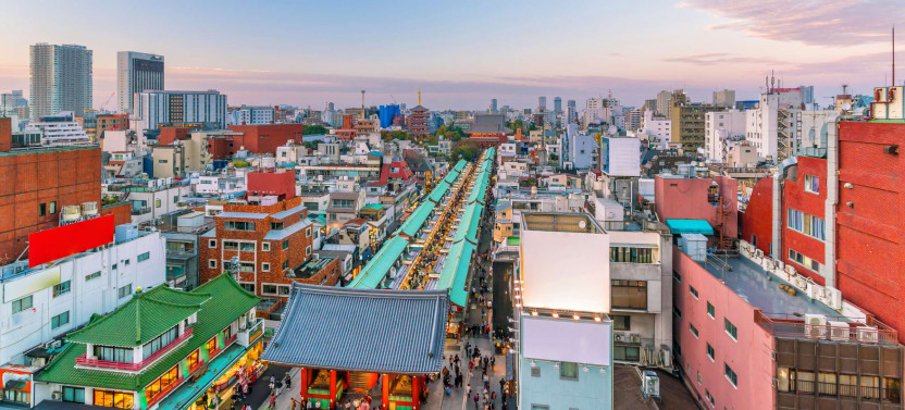 Private Expert-led Asakusa Edo History Tour