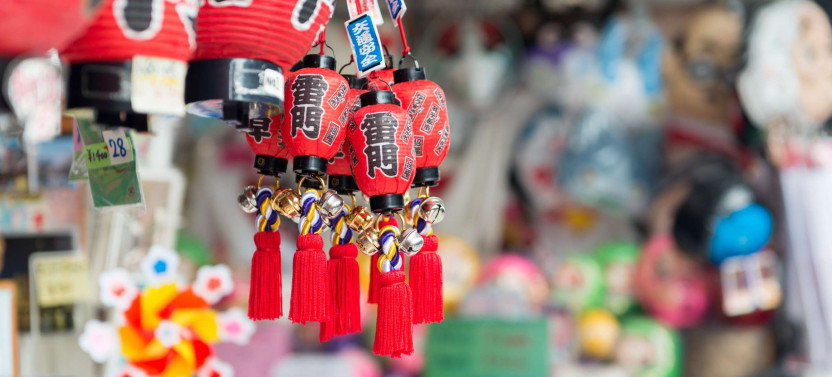 Private Expert-led Asakusa Edo History Tour