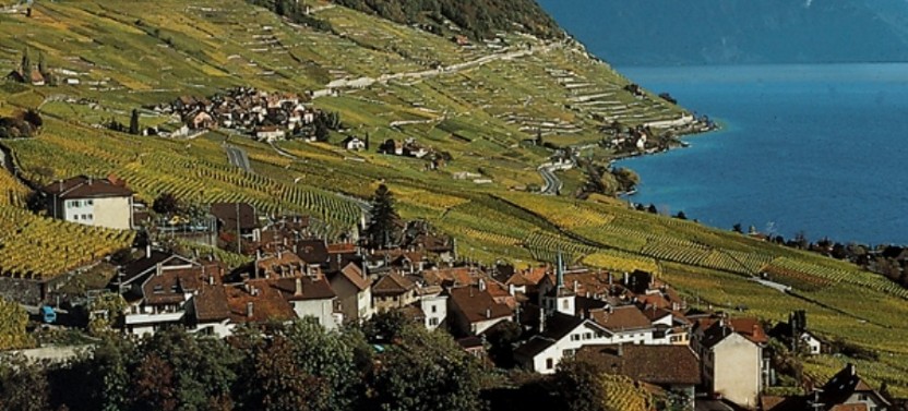 Gruyères + Chocolate Factory + Cheese Factory Gold from Lausanne