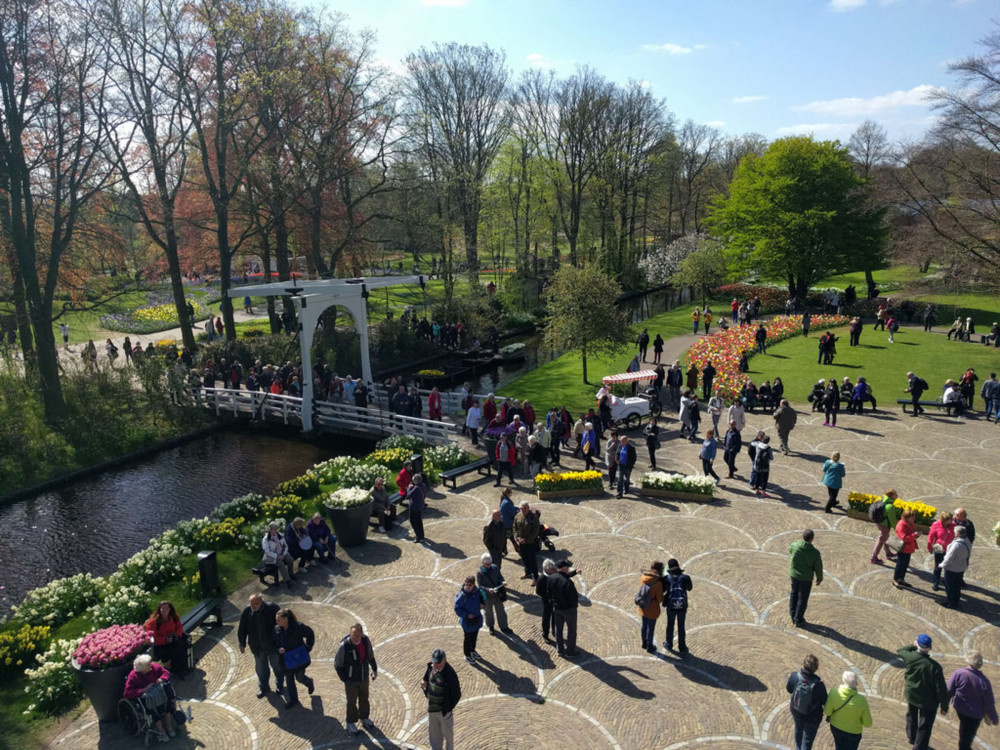 Expert-led Keukenhof Tulip Gardens Tour From Amsterdam