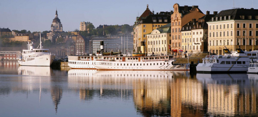 Expert-led Introduction To Stockholm Tour